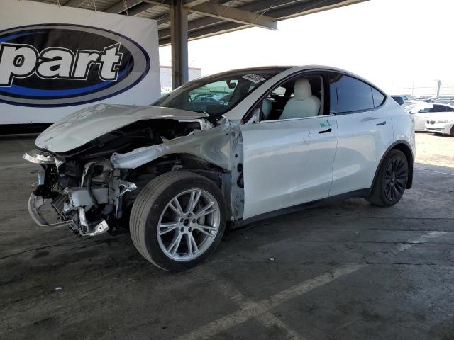 TESLA MODEL Y 2023 white  electric 7SAYGDEE8PF620703 photo #1