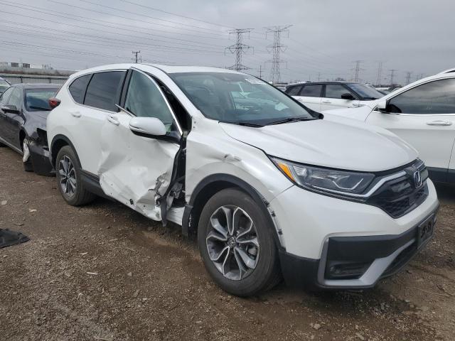 2020 HONDA CR-V EXL - 5J6RW2H81LL021268