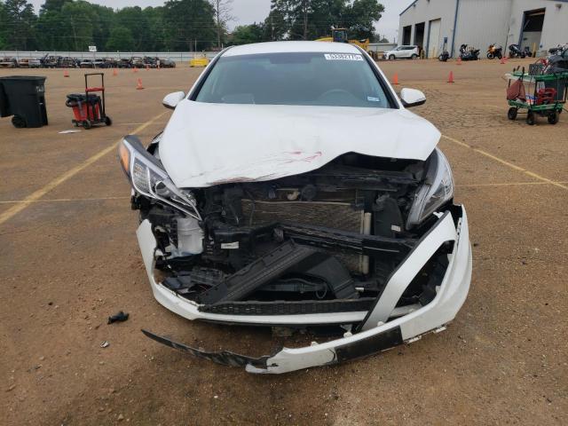 2016 HYUNDAI SONATA SPO - 5NPE34AFXGH334086