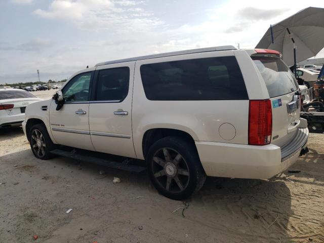 2011 CADILLAC ESCALADE E - 1GYS3JEF8BR391622