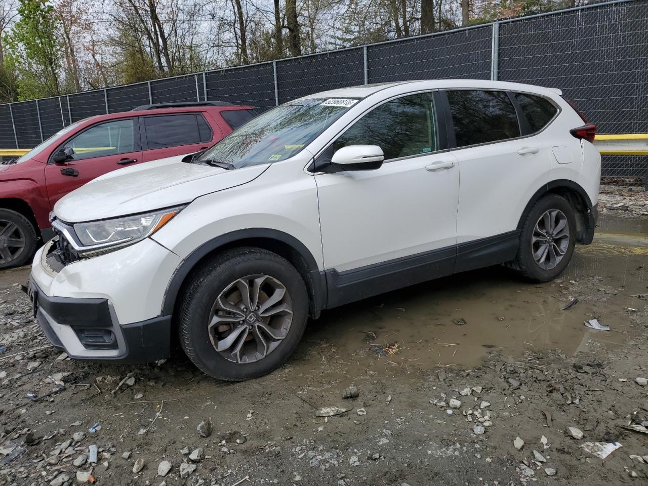 HONDA CR-V EX
