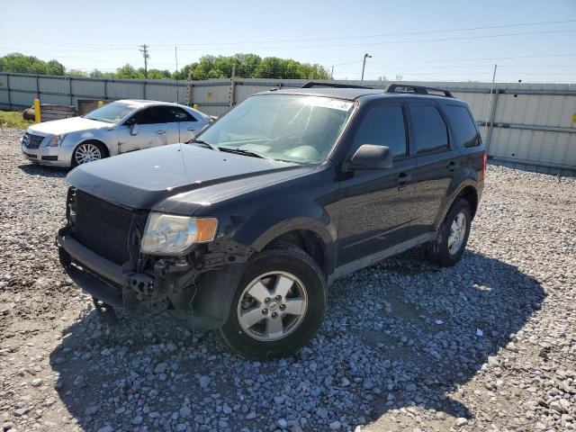Vin: 1fmcu0dg3bkb73670, lot: 51850735, ford escape xlt 2011 img_1