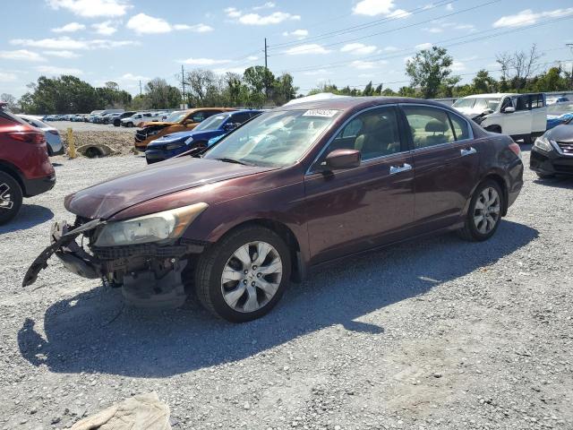 Vin: 5kbcp3f87ab011962, lot: 55094525, honda accord exl 2010 img_1