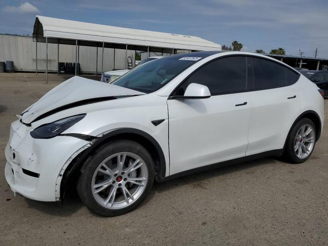 2023 TESLA MODEL Y - 7SAYGDED1PF960928