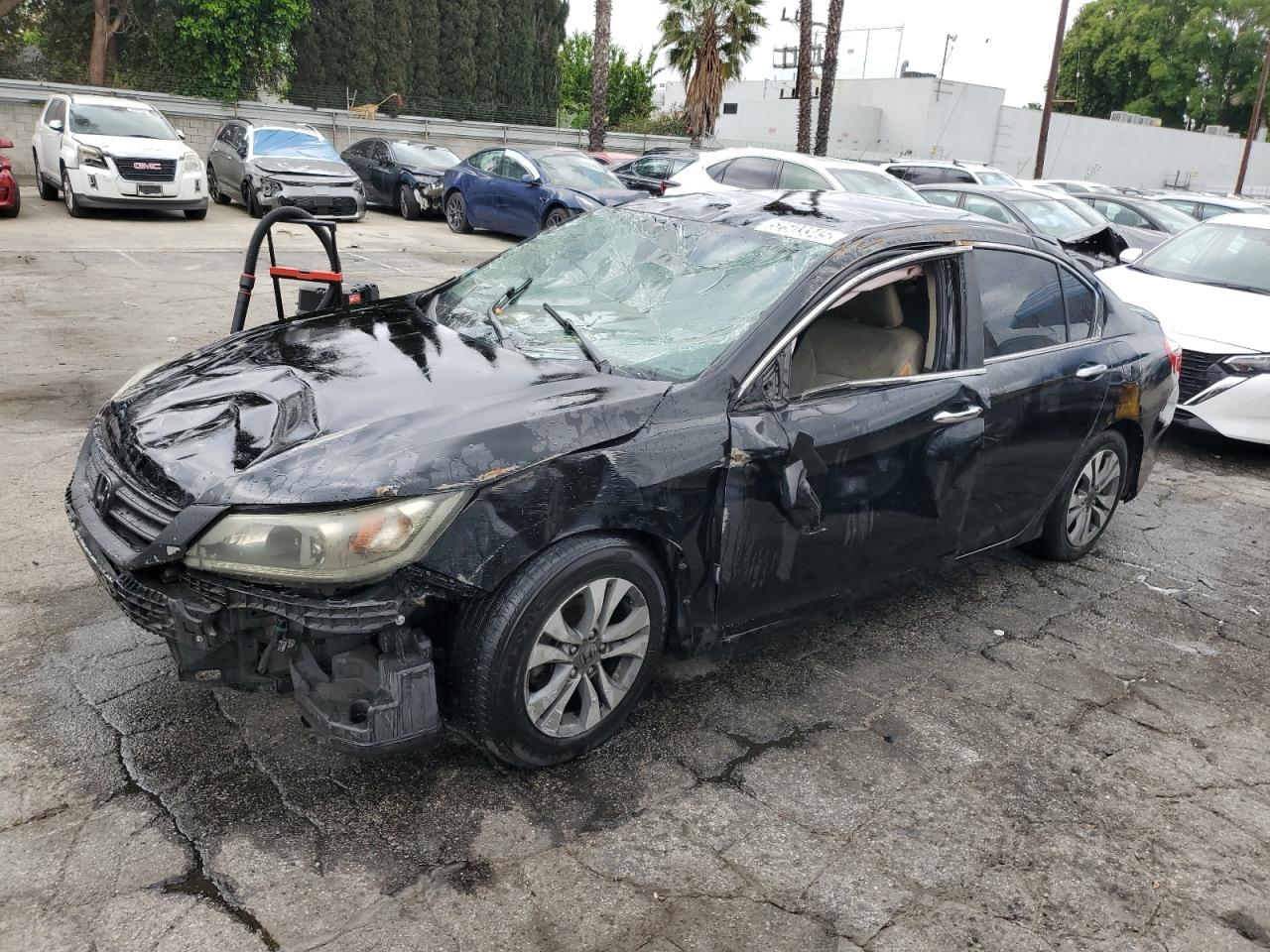 HONDA ACCORD LX