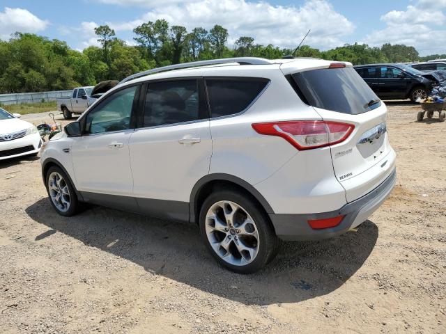 Vin: 1fmcu0jxxeue20700, lot: 53206155, ford escape titanium 20142