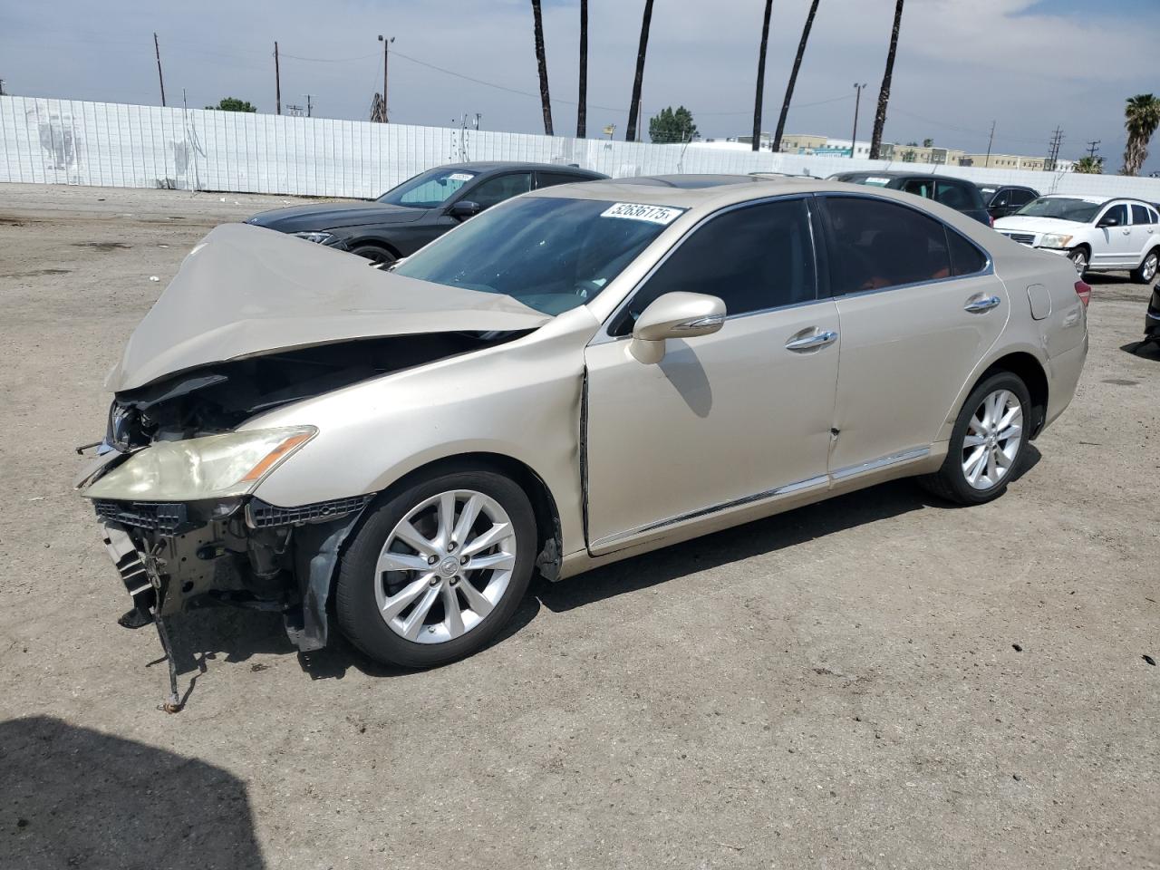 LEXUS ES 250 350