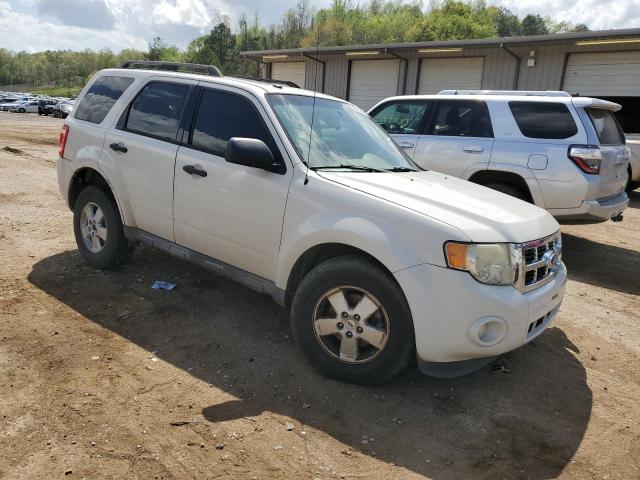 2011 FORD ESCAPE XLT - 1FMCU0DG2BKC30120