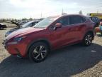 2020 LEXUS NX 300 - JTJGARDZ6L5011520