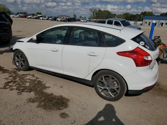 2014 FORD FOCUS SE - 1FADP3K20EL213247