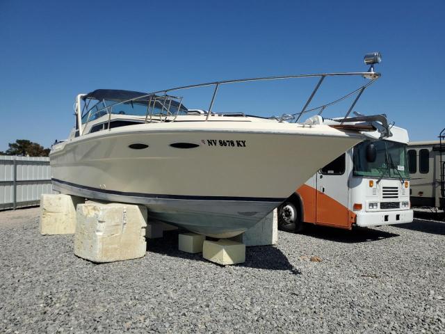 sea ray BOAT