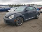 Top Destinations for Shipping Cars from the USA