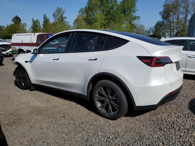 Vin: 7saygdee3sf259602, lot: 54441265, tesla model y 20252