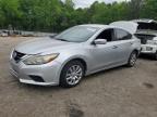 Top Destinations for Shipping Cars from the USA