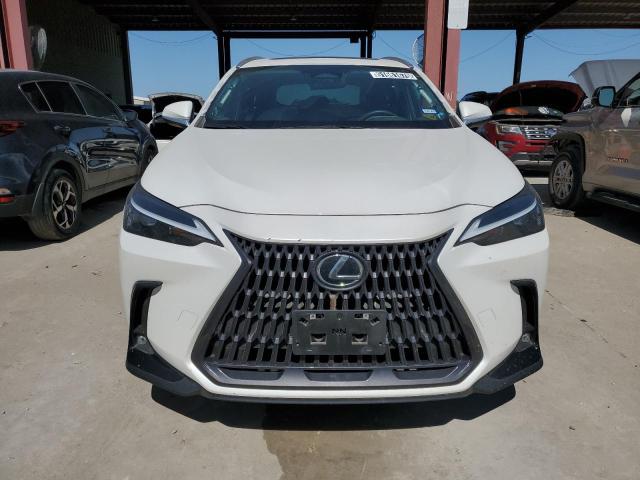 2023 LEXUS NX 250 2T2ADCEZ5PC003313