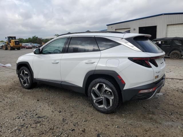 2023 HYUNDAI TUCSON LIM - 5NMJECAE9PH219342