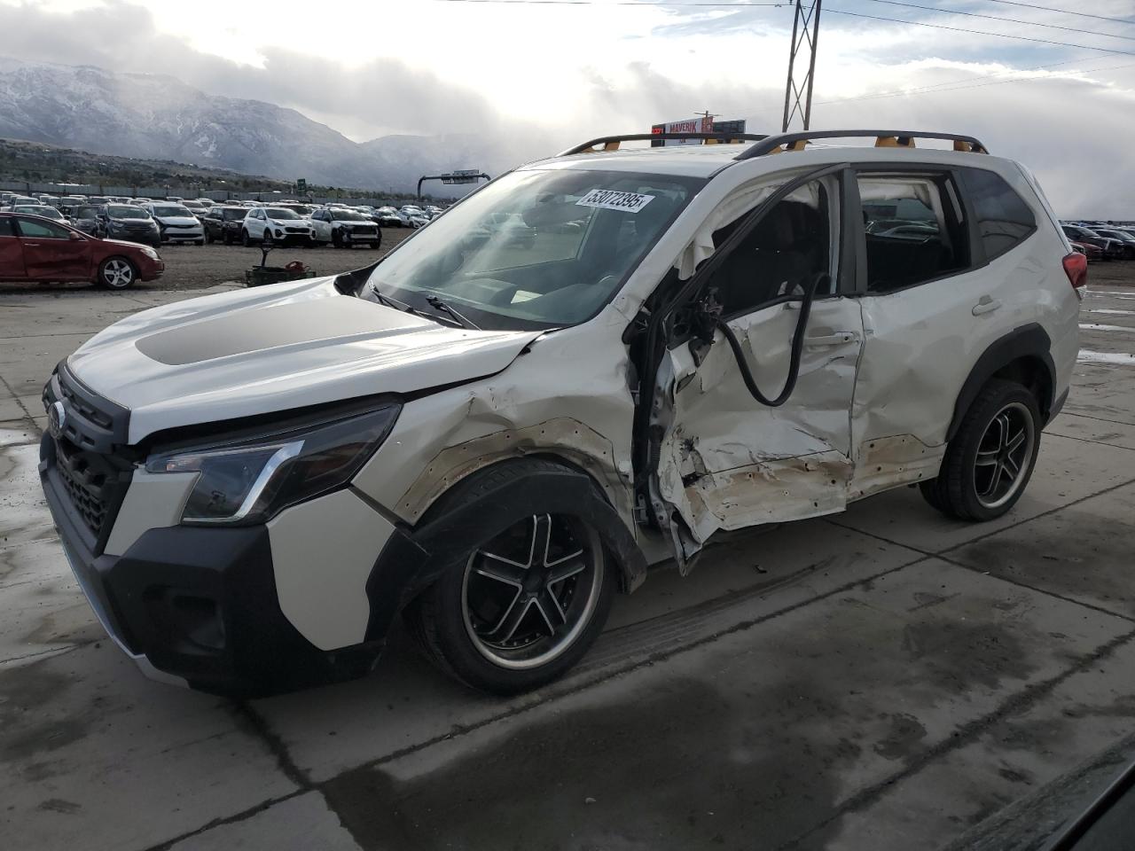 SUBARU FORESTER WILDERNESS