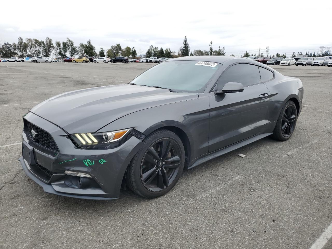 FORD MUSTANG