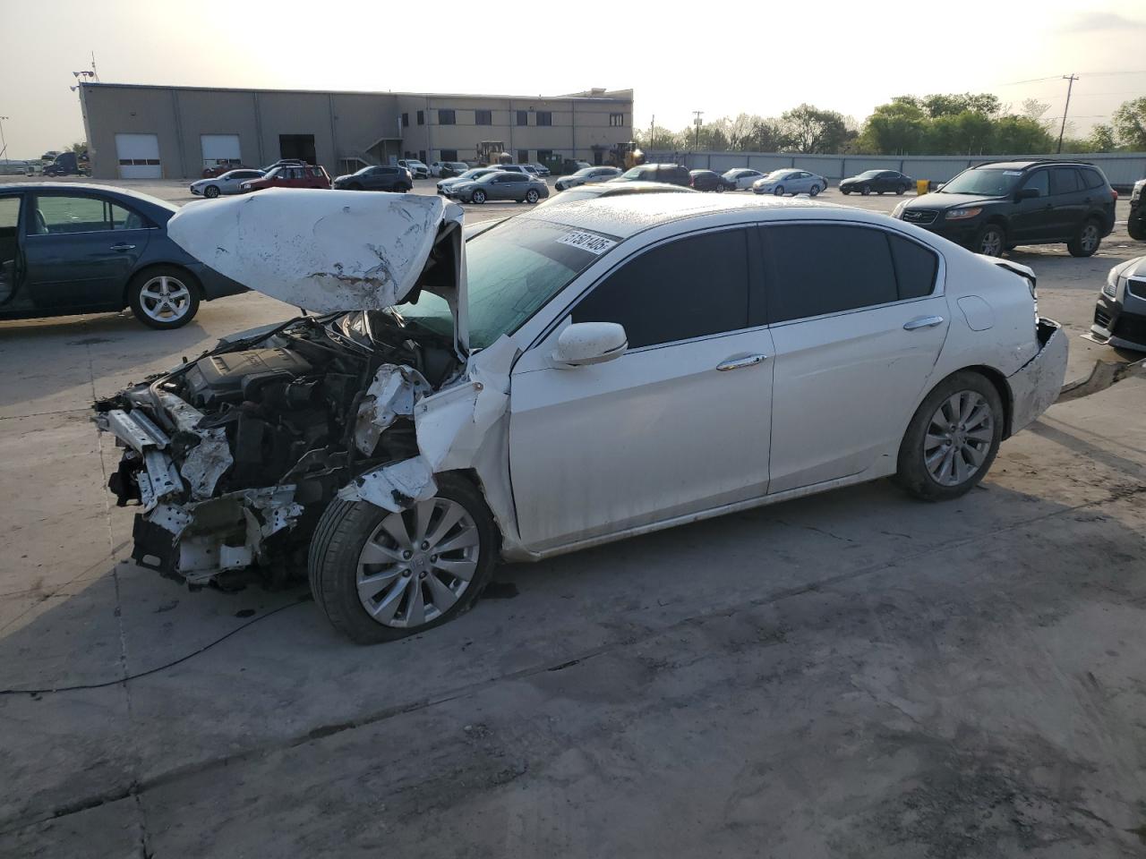 HONDA ACCORD EXL