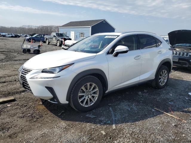 Vin: jtjdardz8m5028162, lot: 53076465, lexus nx 300 base 2021 img_1