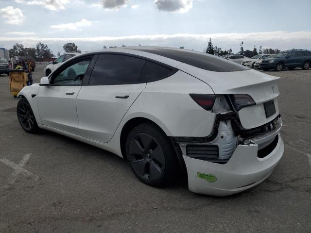 Vin: 5yj3e1ea6pf580355, lot: 54239125, tesla model 3 20232