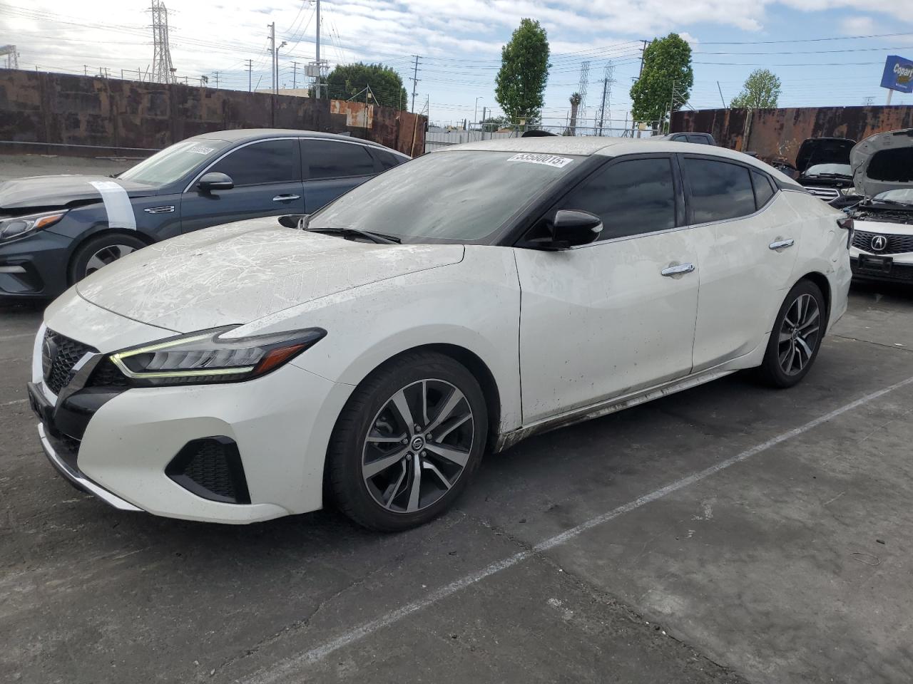 NISSAN MAXIMA SV