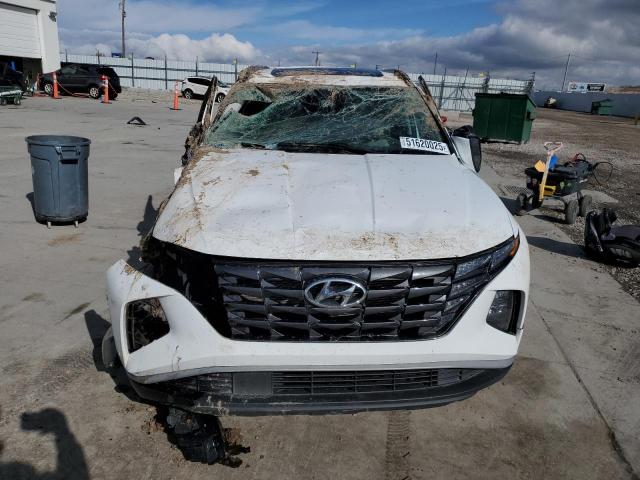 2023 HYUNDAI TUCSON SEL - 5NMJF3AE9PH285841
