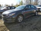 2016 KIA OPTIMA LX - KNAGT4L3XG5091226