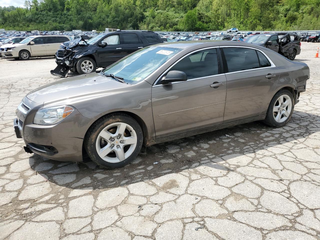 CHEVROLET MALIBU LS