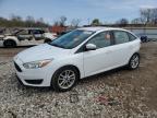 2016 FORD FOCUS SE - 1FADP3F29GL235647