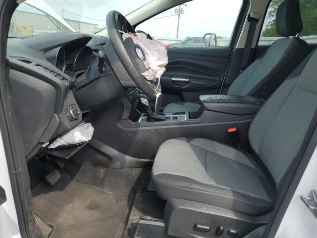 2019 FORD ESCAPE SE - 1FMCU0GDXKUB94201