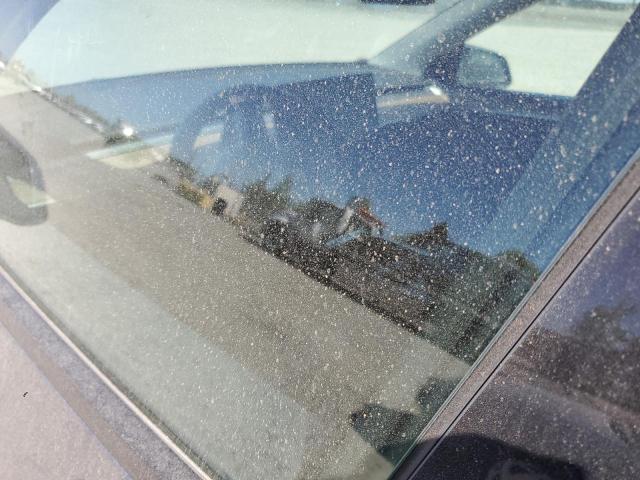 2023 TESLA MODEL Y #3291554917