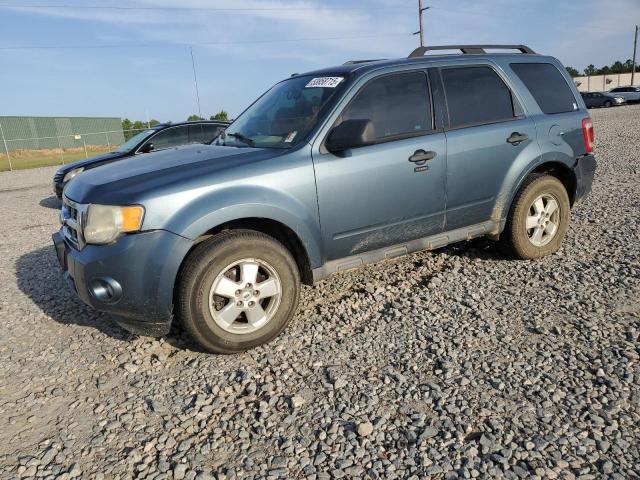 Vin: 1fmcu9dg5akb21993, lot: 53858715, ford escape xlt 2010 img_1