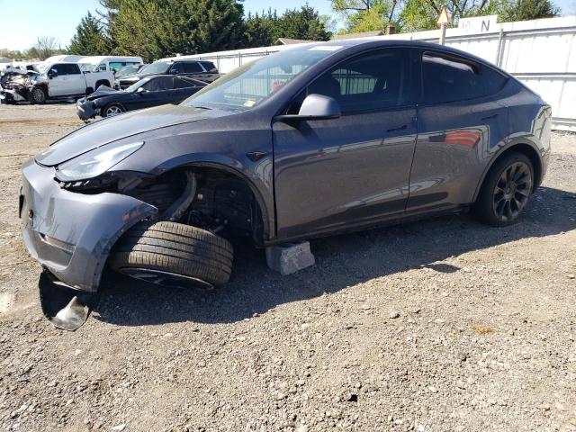 Vin: 5yjygdee5mf243479, lot: 54779085, tesla model y 2021 img_1