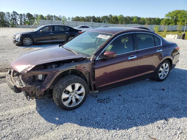 HONDA ACCORD EXL
