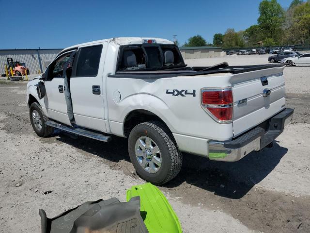 Vin: 1ftfw1ef2dfd80408, lot: 53316675, ford f-150 supercrew 20132