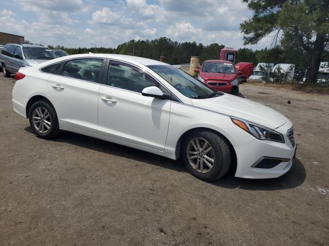 Vin: 5npe24af7gh417171, lot: 54983105, hyundai sonata se 20164