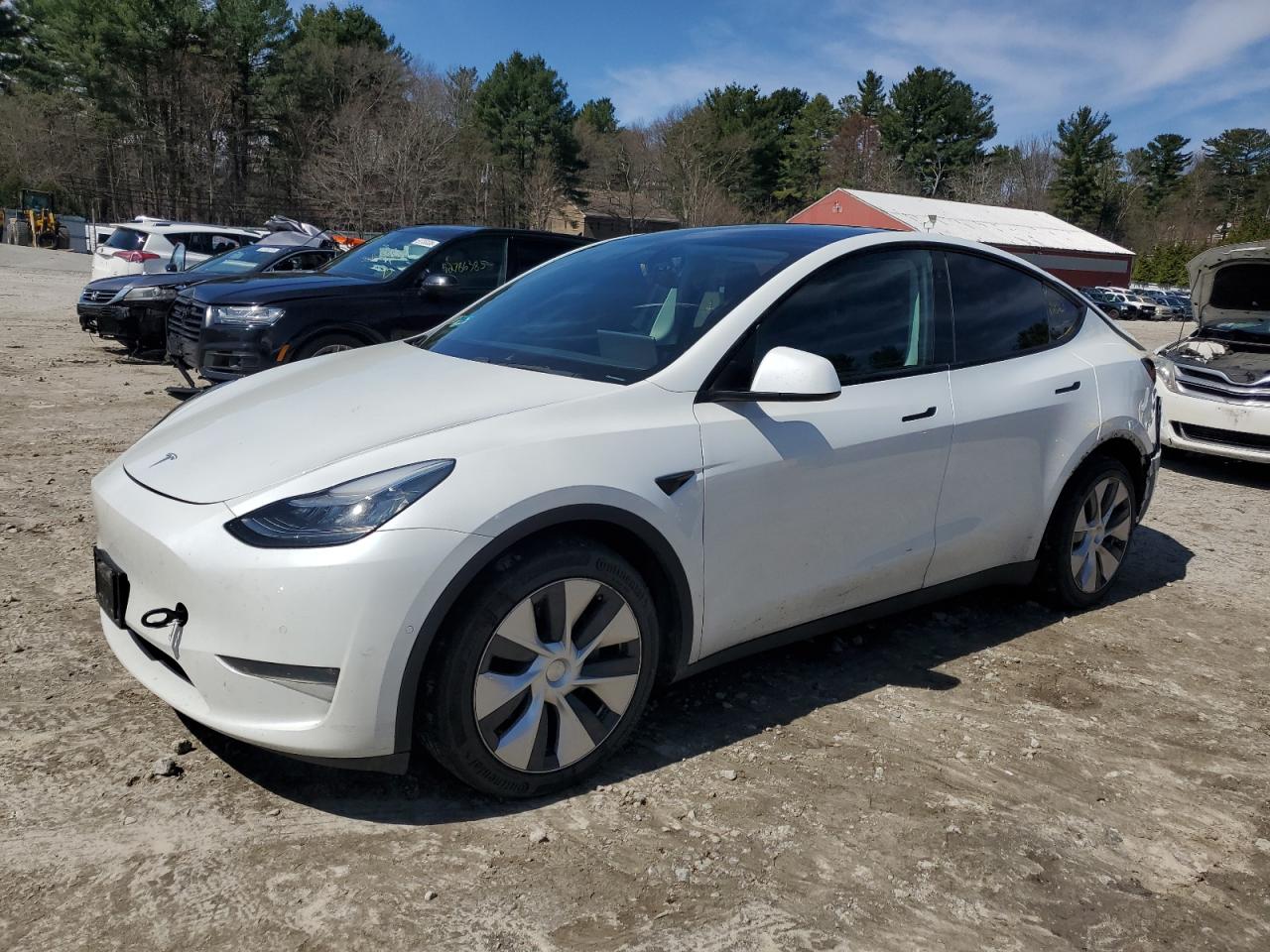 TESLA MODEL Y