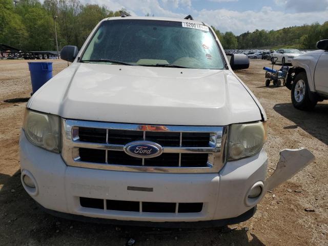 2011 FORD ESCAPE XLT - 1FMCU0DG2BKC30120