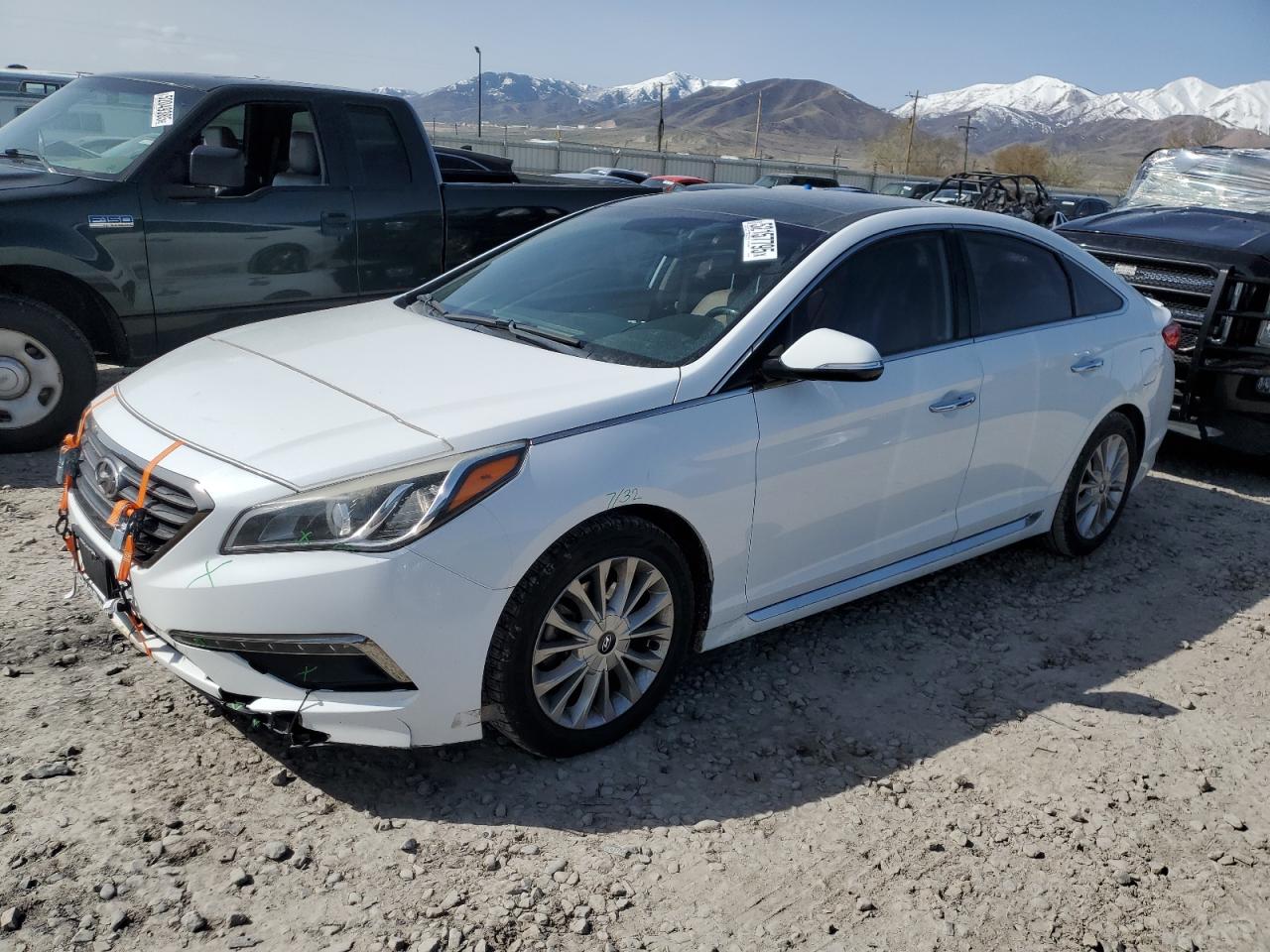 HYUNDAI SONATA SPORT