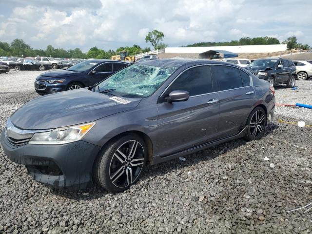 HONDA ACCORD SPO