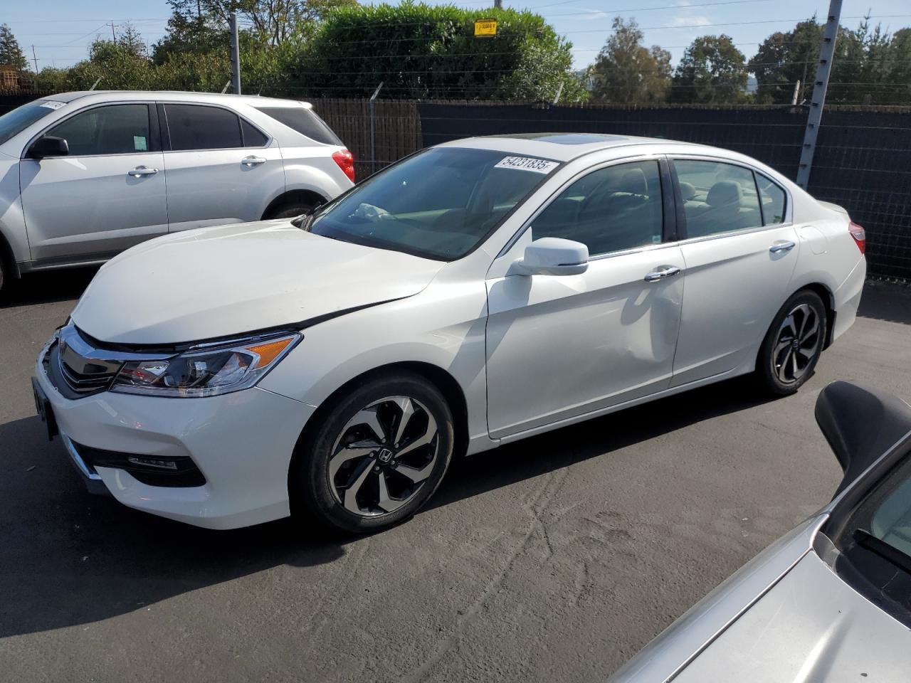 HONDA ACCORD EXL