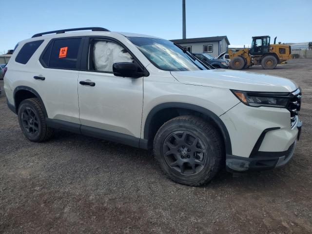 2024 HONDA PILOT TRAI 5FNYG1H60RB005128