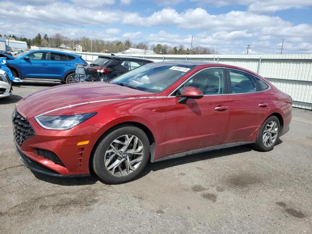 Vin: kmhl14ja7pa270366, lot: 52490115, hyundai sonata sel 2023 img_1