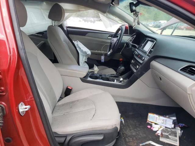 2019 HYUNDAI SONATA LIM 5NPE34AF0KH734330
