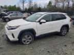 2024 TOYOTA RAV4 XLE - JTMRWRFV8RD212566