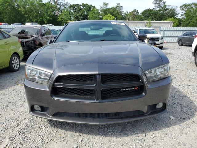2014 DODGE CHARGER - 2C3CDXHGXEH189422