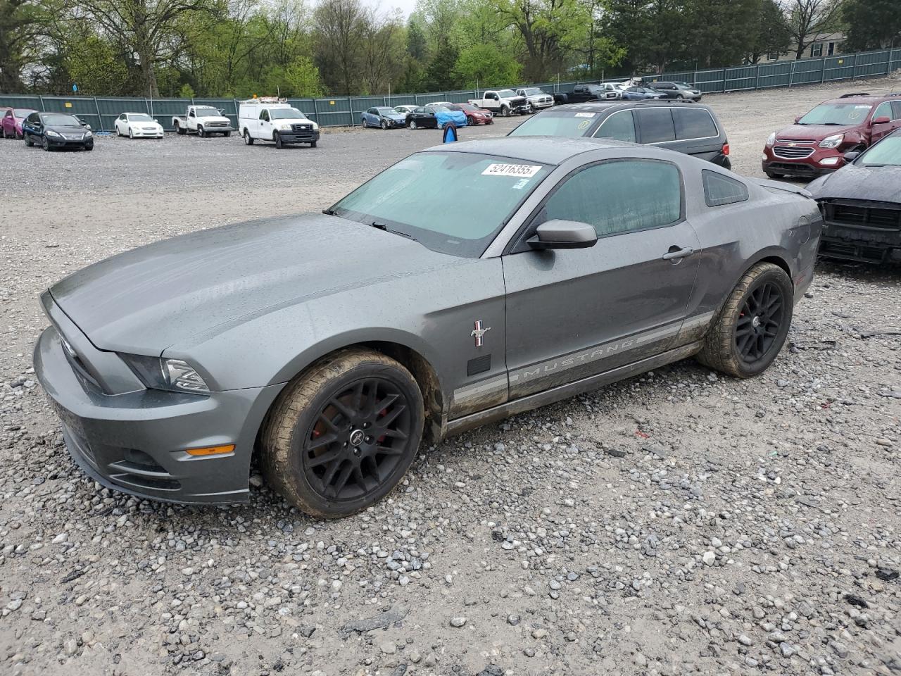 FORD MUSTANG
