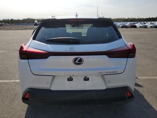 2025 LEXUS UX 300H BA JTHUCJDH6S2007491