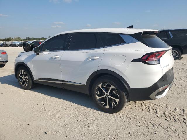 Vin: 5xyk33af0pg023674, lot: 53568315, kia sportage ex 20232